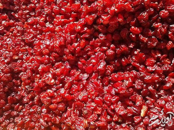 ارزش غذایی زرشک